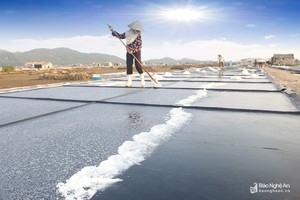 CUNG CẤP MUỐI SỐ LƯỢNG LỚN