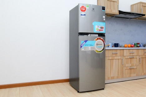 Tủ lạnh Electrolux ETB2600MG, EBB2600MG-XVN khuyến mại, giá rẻ