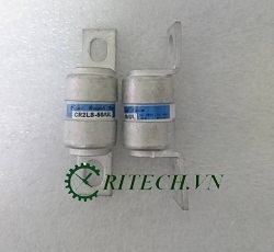 chuyên cung cấp CR2LS-50/UL Cầu Trì 50A 250V chất lượng cao,giá rẻ