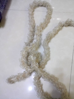 ĐỆM VI SINH