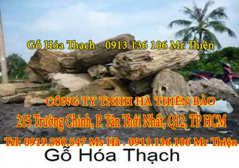 Thanh lý nguồn hàng gỗ hóa thạch tại Tiền giang