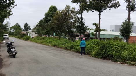 125m2 thổ cư, SH Chính chủ, XD tự do, ngay TT TT Bến Lức, chỉ 8tr/m2