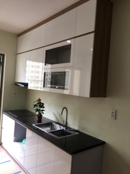 chính chủ cho thuê chung cư cát tường  eco