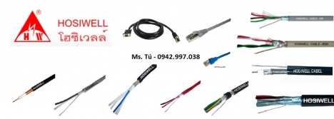 Cáp chống nhiễu Hosiwell chuẩn 20AWG chậm cháy, chống cháy lan, 2 lõi