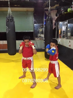 Thảm tập võ giá rẻ hà nội