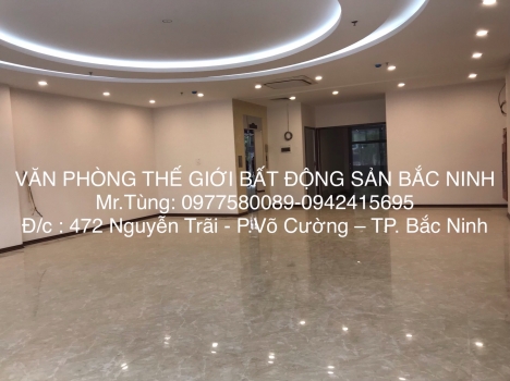 cho thuê tòa nhà shophouse cát tường 3