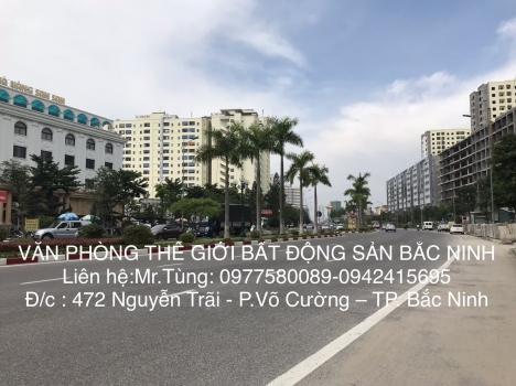 cho thuê tòa nhà shophouse cát tường 3