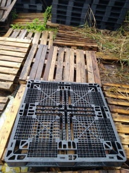 Thanh lý Pallet nhựa đã qua sử dụng tại đà nẵng 0901166292