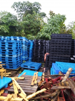 Thanh lý Pallet nhựa đã qua sử dụng tại đà nẵng 0901166292