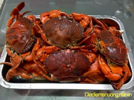 Quán Cua Cà Mau Ngon Tân Phú