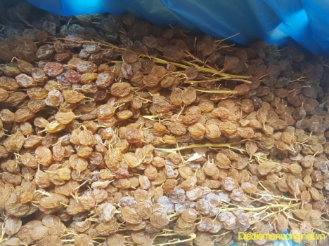 Cung Cấp Nho Khô, Chà Là Chất Lượng