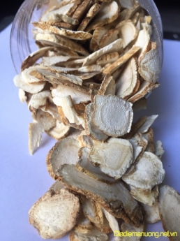 Chuyên Sỉ, Lẻ Sâm Hoa Kỳ ONTARIO