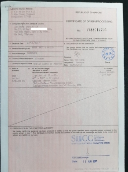 Dán phim các nhiệt Classis PORSCHE PARAMA cao cấp