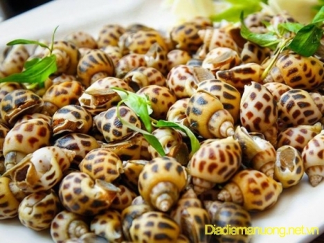 Quán Ốc Hải Sản Lẩu Nướng Ngon Quận 12