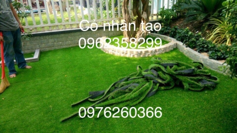 Cỏ nhân tạo giá rẻ