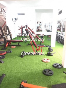 Cỏ nhân tạo giá rẻ