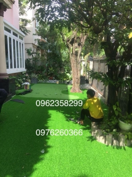 Cỏ nhân tạo giá rẻ