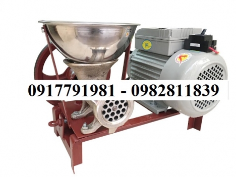 Máy xay thịt Việt Nam mini