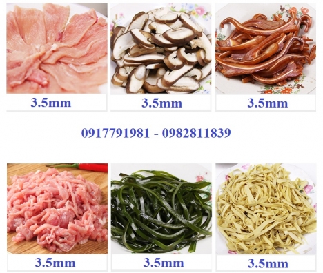 Máy thái xay thịt đa năng 2 trong 1