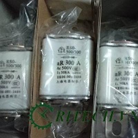 CẦU TRÌ RS0-500/300 300A 500V