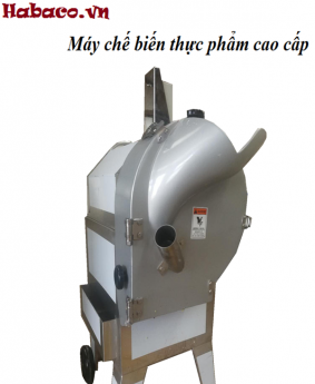 Máy thái rau củ quả dạng quân chì
