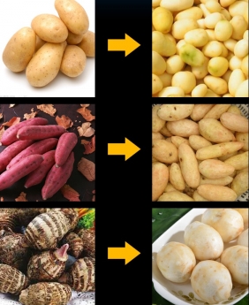 Máy gọt vỏ khoai tây