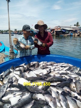 THÙNG NHỰA TRÒN, thùng nhựa vuông đặc, hộp nhựa chất lượng tốt giá cả cạnh tranh
