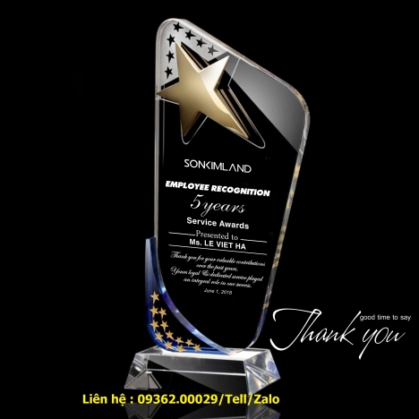 Bán các loại kỉ niệm chương, quà tặng mica giá rẻ tại Thanh Xuân