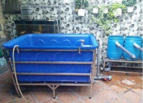 Thùng nhựa chữ nhật 1 lớp và 2 lớp chất lượng tốt nhất thị trường Việt