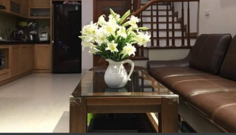 nhà riêng Phú Diễn Bắc Từ Liêm 38m2x5 tầng full đồ