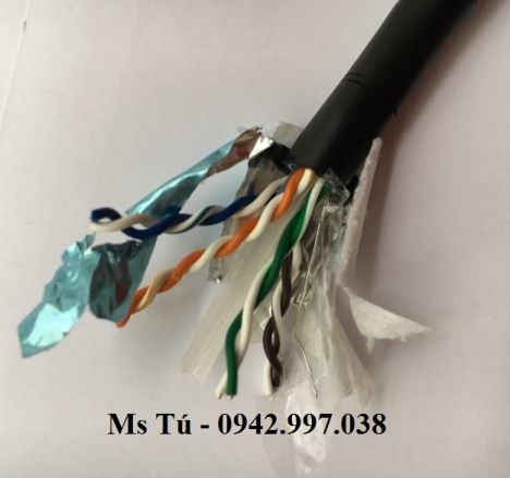 Cat.6 F/UTP - Cáp mạng chống nước, chống nhiễu 100% màng Al-Foil