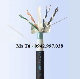 Cat.6 F/UTP - Cáp mạng chống nước, chống nhiễu 100% màng Al-Foil