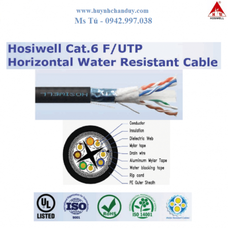Cat.6 F/UTP - Cáp mạng chống nước, chống nhiễu 100% màng Al-Foil