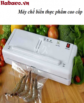 Máy hút chân không gia đình DZ300A