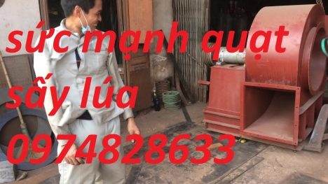 máy sấy lúa giá rẻ 2019 tại miền bắc