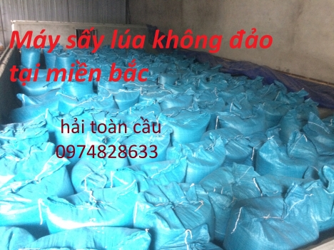máy sấy lúa giá rẻ 2019 tại miền bắc