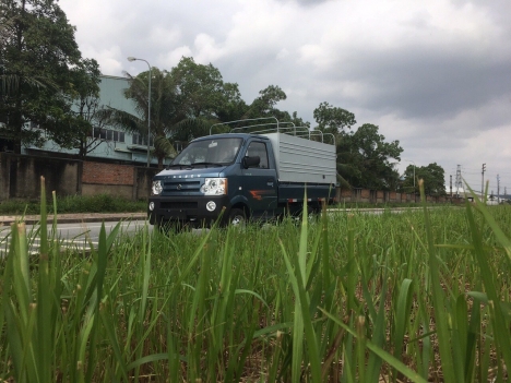 dongben giá rẻ
