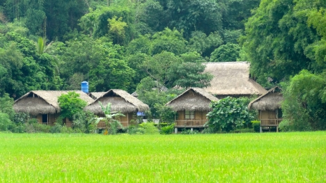 Homestay ở Bản Lác Mai Châu đẹp giá rẻ