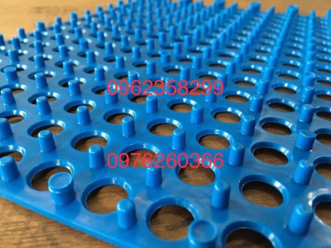 thảm trải nhà tắm giá rẻ