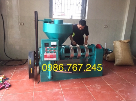 Máy ép dầu lạc công nghiệp guangxin yzyx 10j-2wk giá rẻ nhất tại hà nội