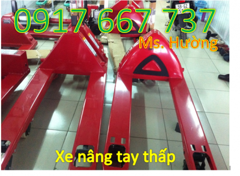 Mua xe nâng tay thấp 2500kg 3000kg giá rẻ tại Bình Dương 0917 667 737