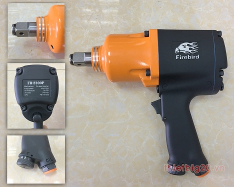 Chia sẻ lựa chọn súng bắn bu lông bằng hơi Firebird