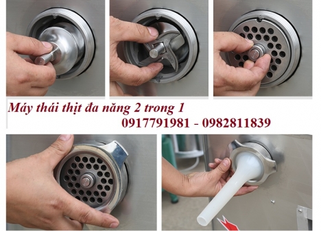 Máy thái xay thịt đa năng DGSD346