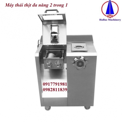 Máy thái xay thịt đa năng DGSD346