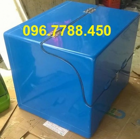Thùng chở hàng nhựa composite, thùng chở hàng sau xe máy call 096.7788.450