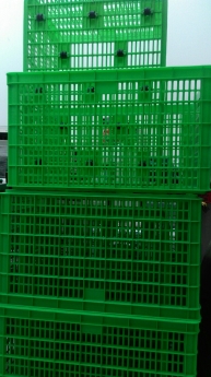 Bán rổ nhựa công nghiệp loại lớn giá cạnh tranh.0967788450