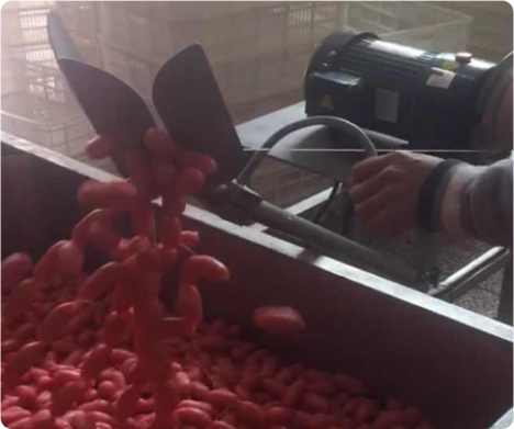 Máy khâu xúc xích FDGDF54564