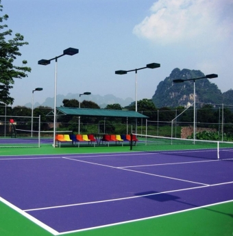 Sàn thể thao Royhome Floor là những mẫu sàn khá cao cấp