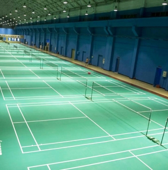 Sàn thể thao Royhome Floor là những mẫu sàn khá cao cấp