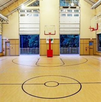 Sàn thể thao Royhome Floor là những mẫu sàn khá cao cấp